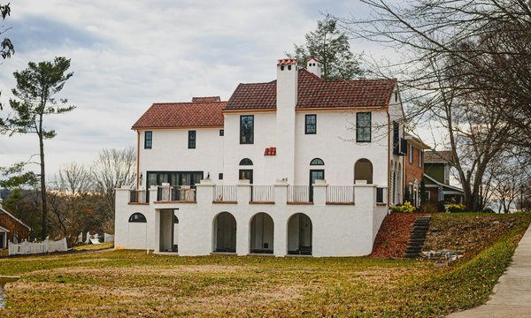 Plantes d'intérieur pour les débutants : les erreurs à éviter